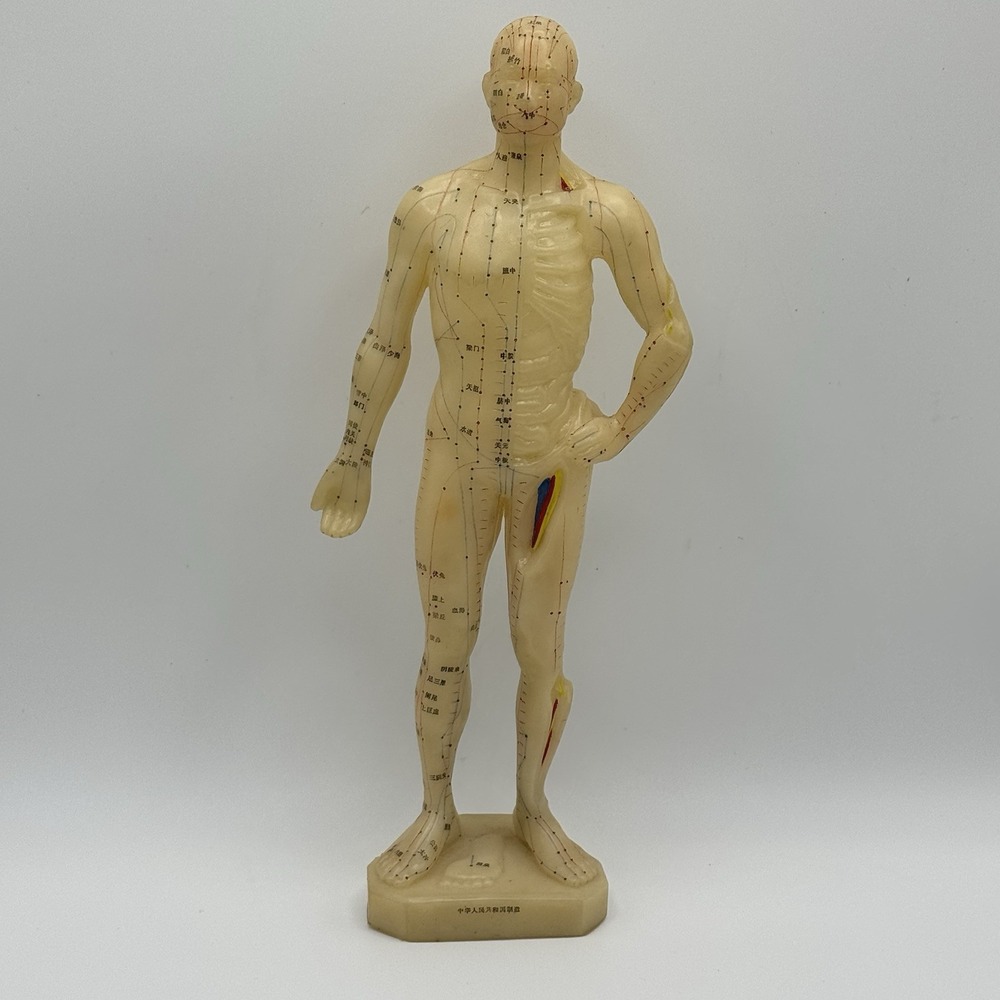 Vintage Chinese Acupuncture Meridian Model TCM Medical Teaching Manikin 11"